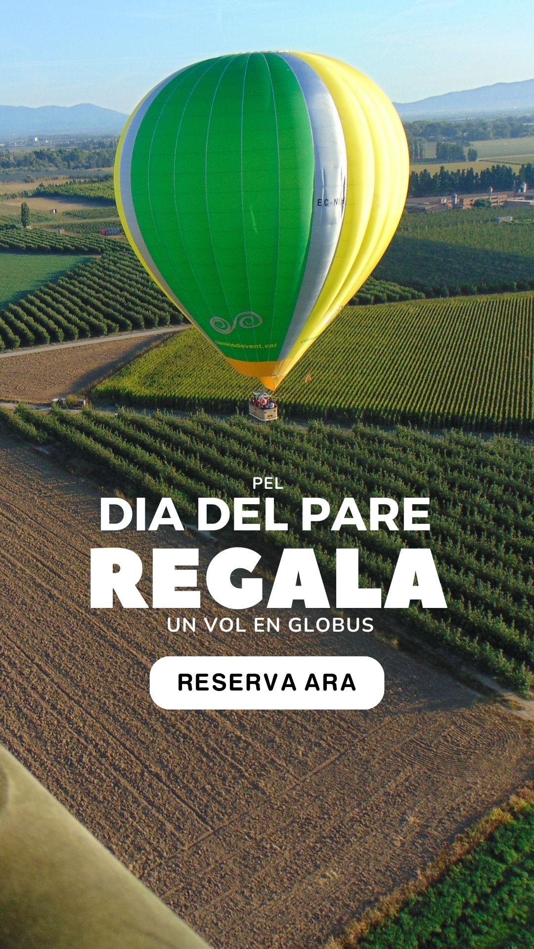 dia_del_pare_oferta_regalar_comprar