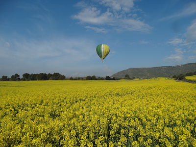 Hot air balloon flight in the Anoia, Igualada